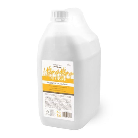 3x Natural Look Intensive Reconstructive Treatment 5L