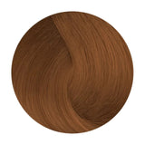 De Lorenzo Novacolor T8.46 Very Light Titian Blonde 60g