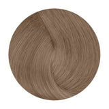 De Lorenzo Novacolor CH8.64 Honeycomb Chocolate 60g