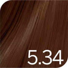 Elegance Plus Professional Hair Colour Cream 100ml- 5.34 Light Brown Golden Copper