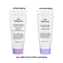 Evo Fabuloso Platinum Blonde Colour Boosting Treatment 220ml
